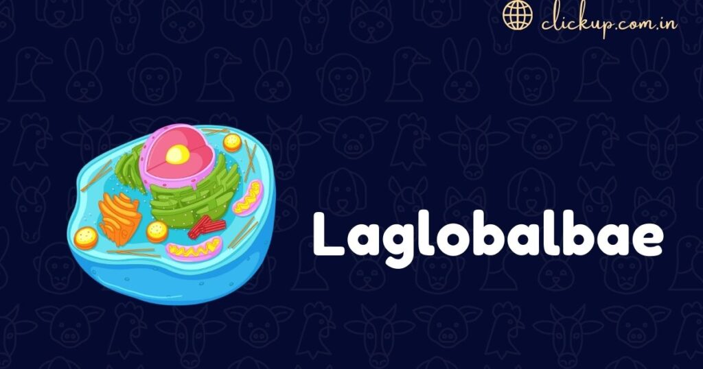 Laglobalbae