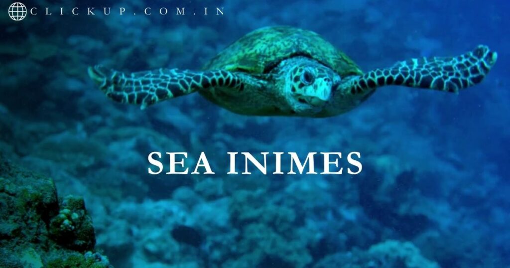 Sea Inimes